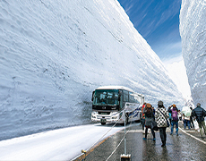 雪の大谷
