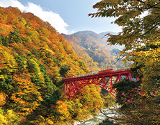 見学ツアー